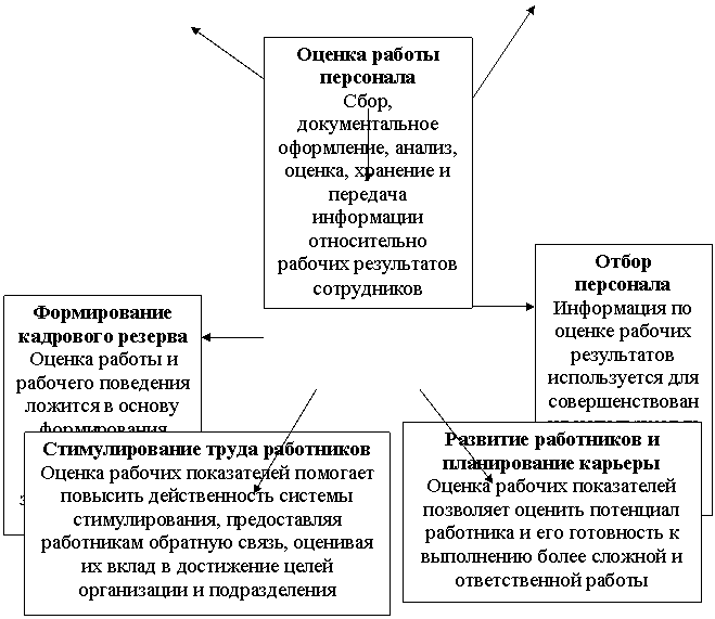 Совершенствование системы оценки работы персонала торгово-производственного холдинга ООО "ВАРНИТОЛ"