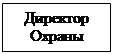 Подпись: Директор Охраны 