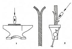 ���. 18. ��������