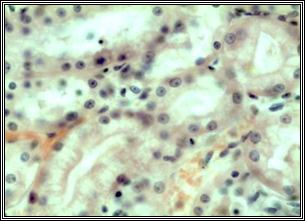 Описание: 3а1